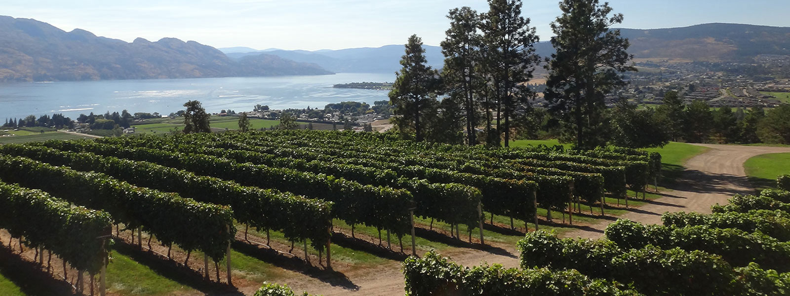 A View of the Lake - Our B & B offers luxurious accommodations in the heart of the beautiful Okanagan Valley.